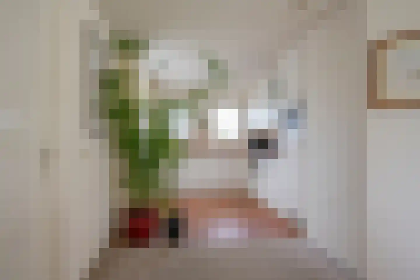 Klaproos 19 Nijkerk thumbnail 22