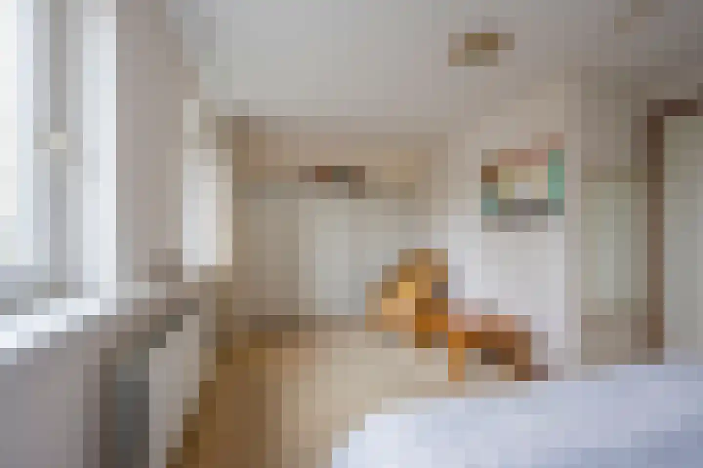 Klaproos 19 Nijkerk thumbnail 28