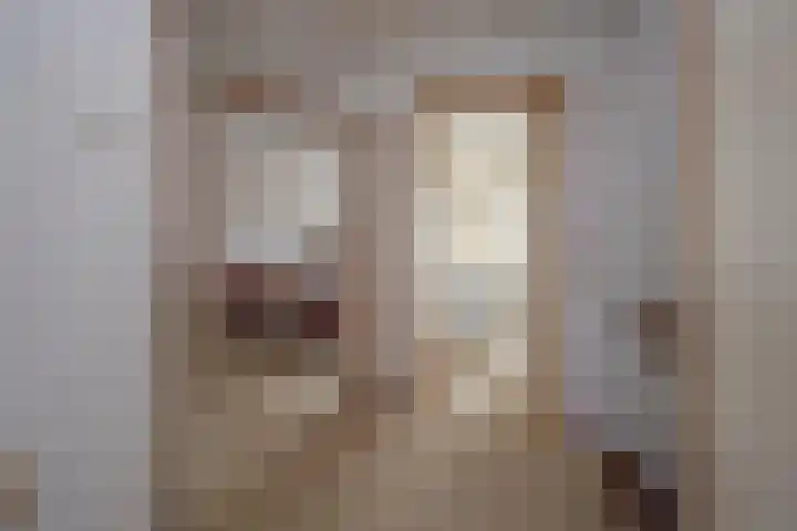 Klaproos 19 Nijkerk thumbnail 30