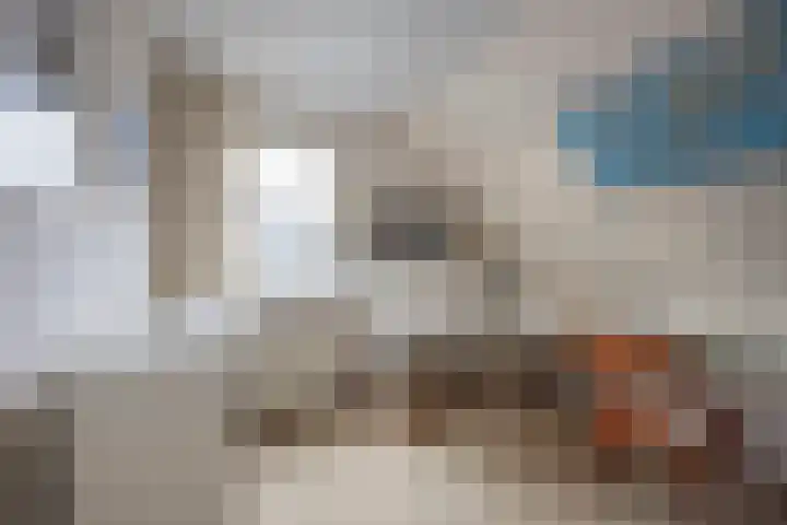 Klaproos 19 Nijkerk thumbnail 33