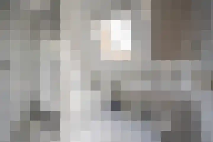 Klaproos 19 Nijkerk thumbnail 35