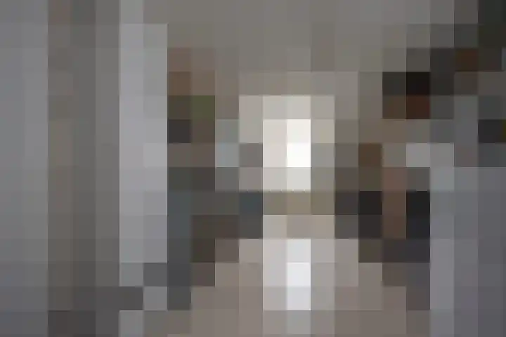 Klaproos 19 Nijkerk thumbnail 39