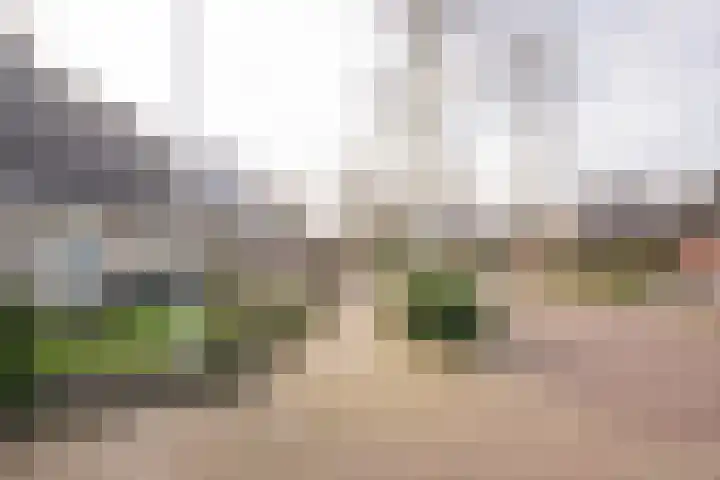 Klaproos 19 Nijkerk thumbnail 4