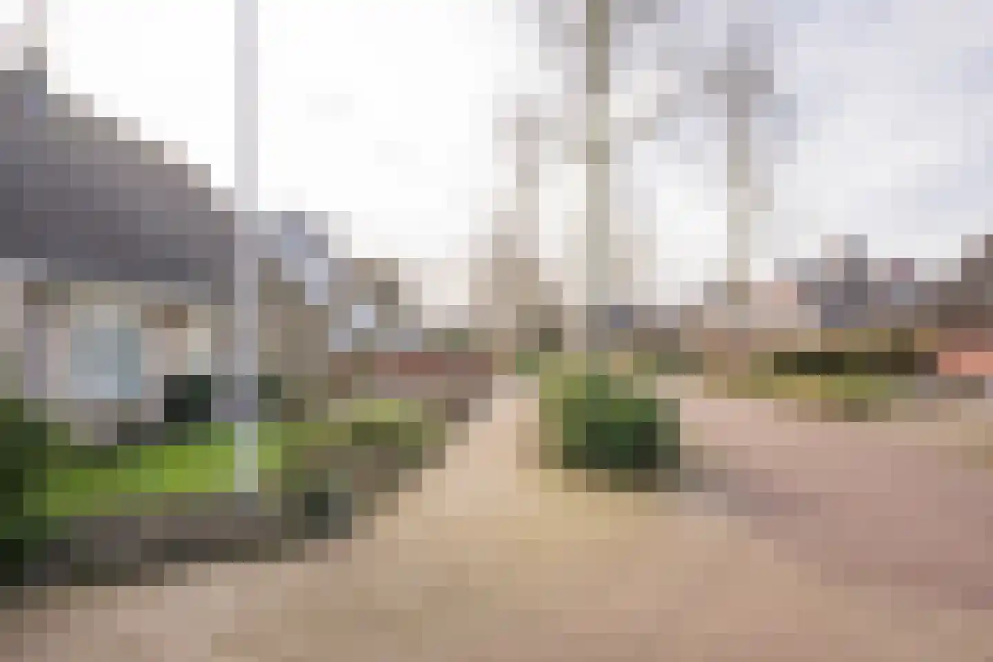 Klaproos 19 Nijkerk thumbnail 4