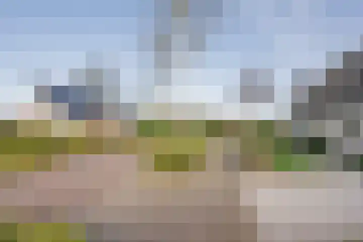 Klaproos 19 Nijkerk thumbnail 5