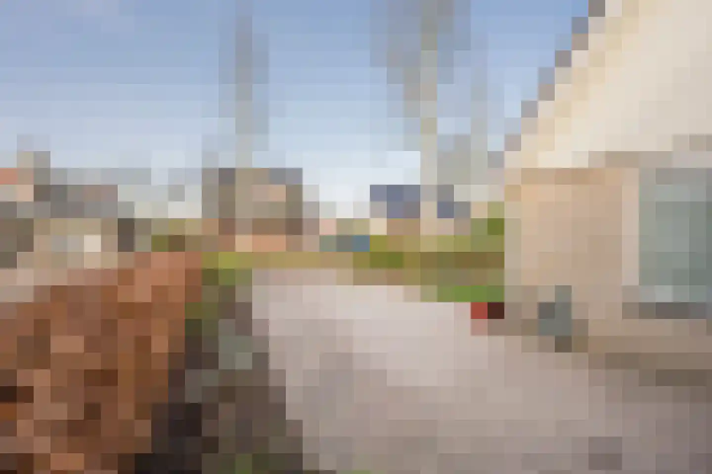 Klaproos 19 Nijkerk thumbnail 7