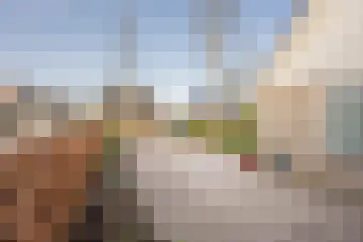 Klaproos 19 Nijkerk thumbnail 7
