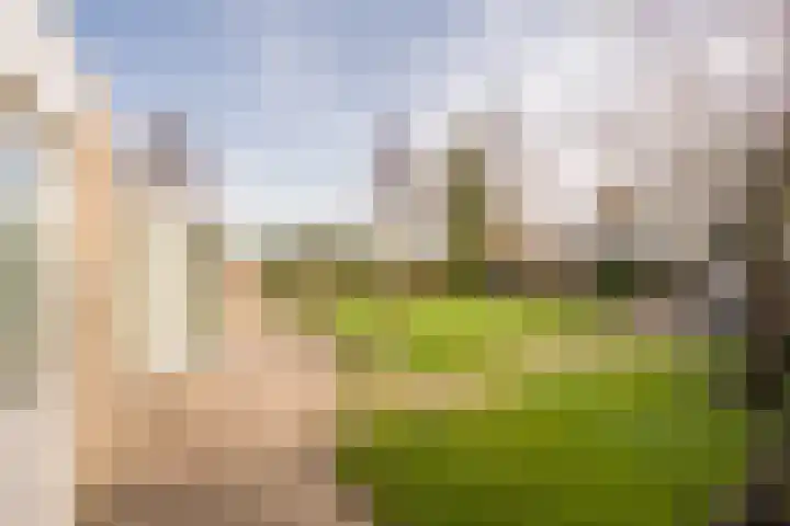 Klaproos 19 Nijkerk thumbnail 8