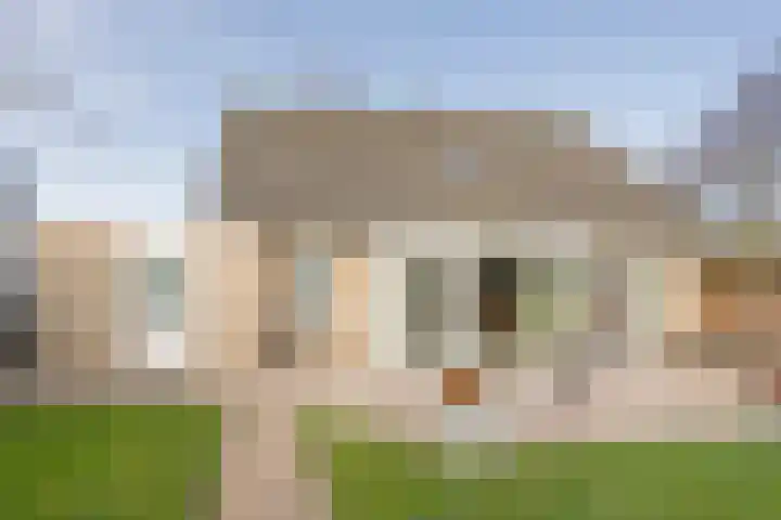 Klaproos 19 Nijkerk thumbnail 9