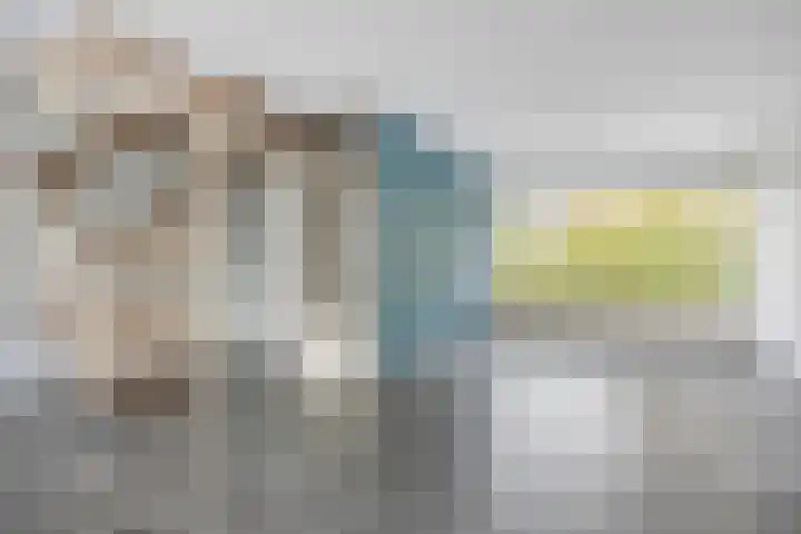 Klaproos 2 Uithoorn thumbnail 10