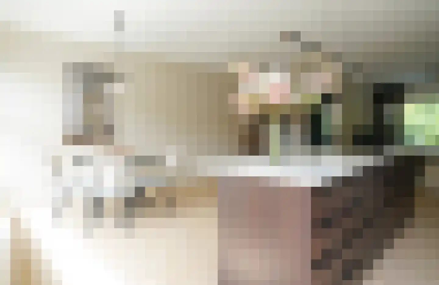 Klaproos 2 Uithoorn thumbnail 16