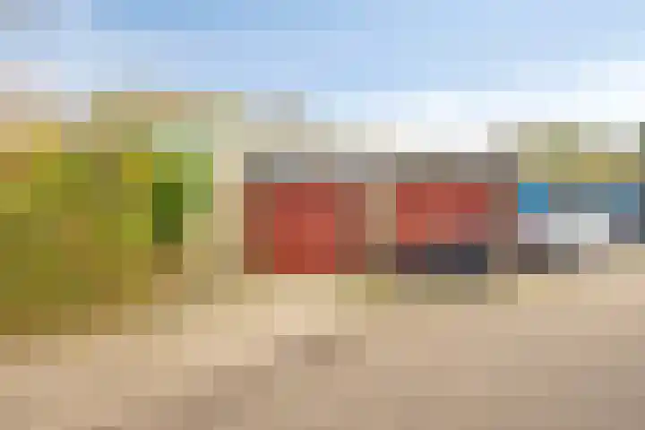 Klaproos 2 Uithoorn foto 2