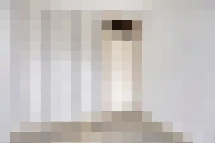Klaproos 2 Uithoorn thumbnail 24