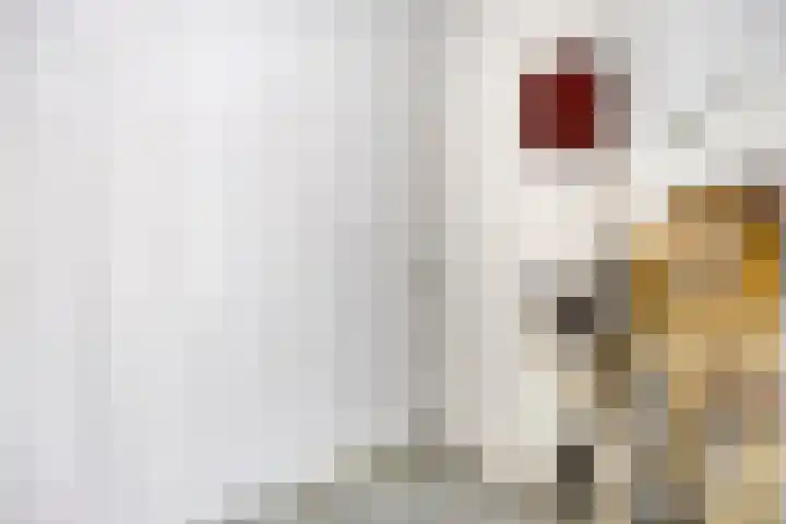Klaproos 2 Uithoorn thumbnail 25