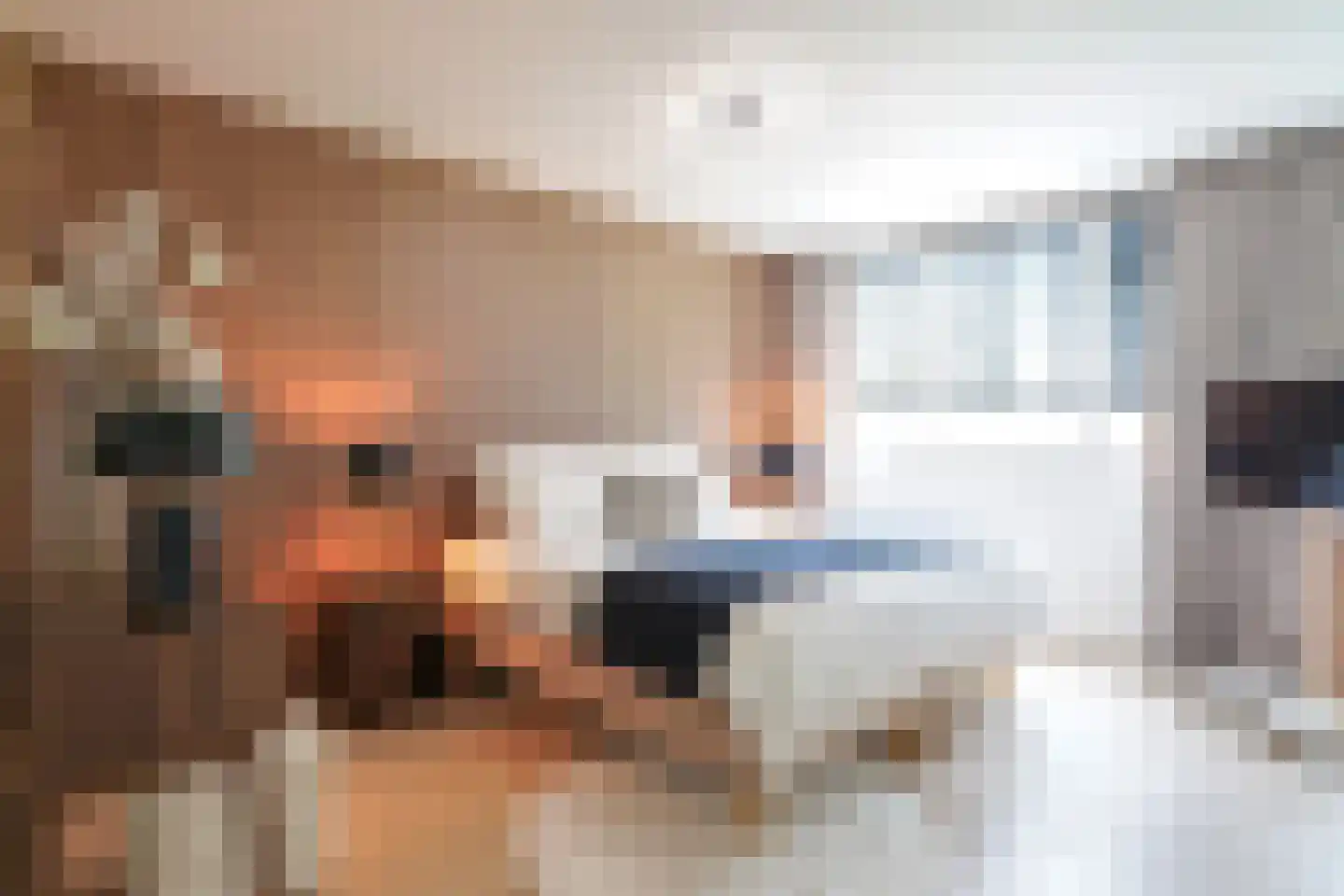 Klaproos 2 Uithoorn thumbnail 26