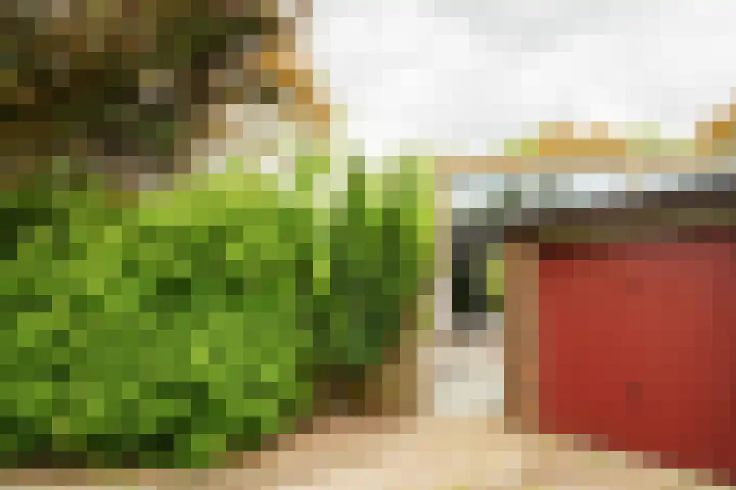 Klaproos 2 Uithoorn thumbnail 28