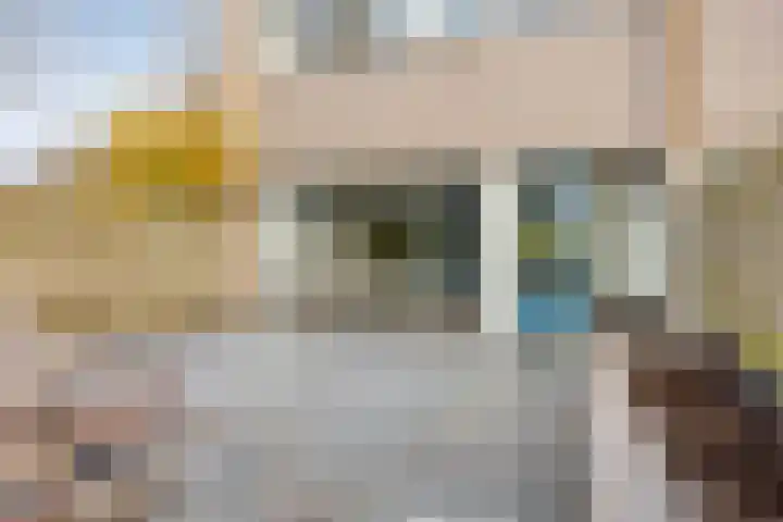 Klaproos 2 Uithoorn thumbnail 28