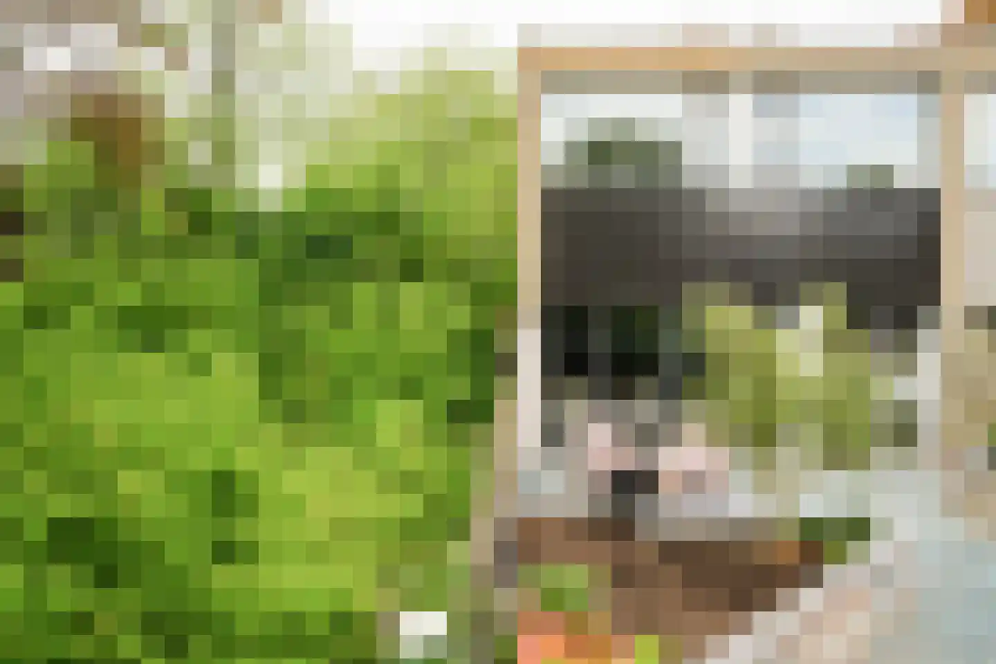 Klaproos 2 Uithoorn thumbnail 29
