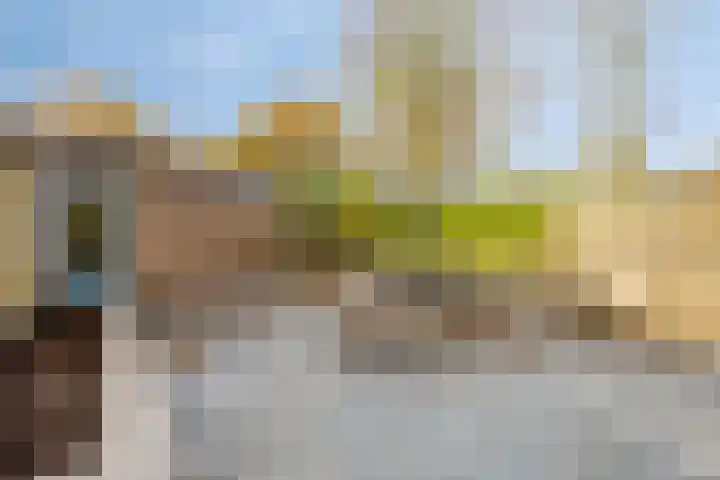 Klaproos 2 Uithoorn thumbnail 29