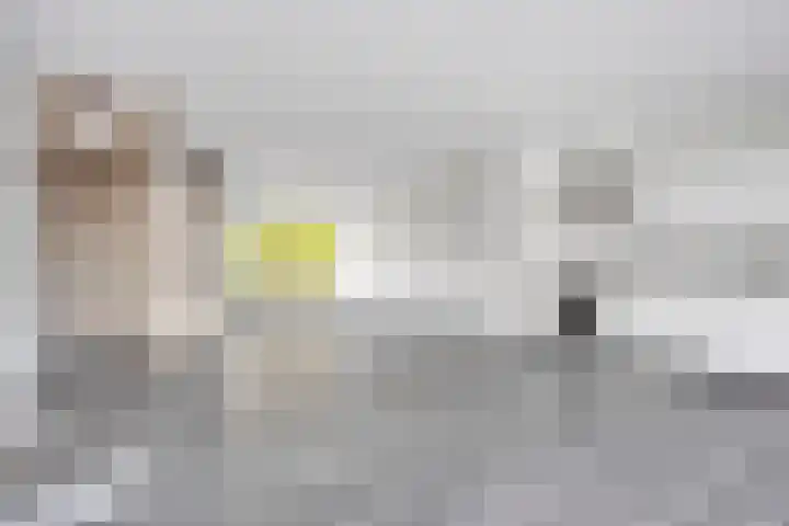Klaproos 2 Uithoorn foto 3