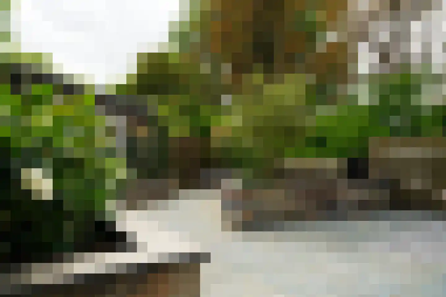 Klaproos 2 Uithoorn thumbnail 30