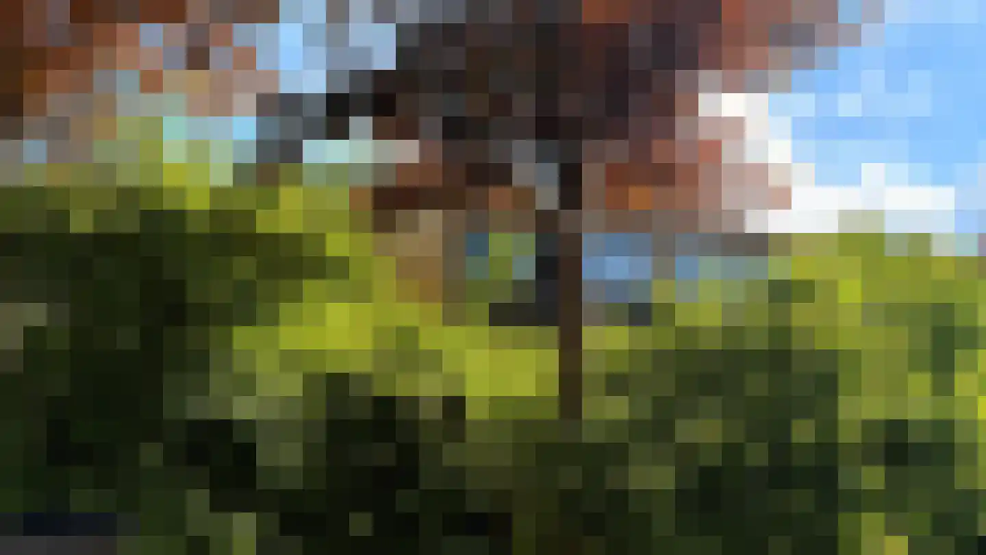 Klaproos 2 Uithoorn thumbnail 32