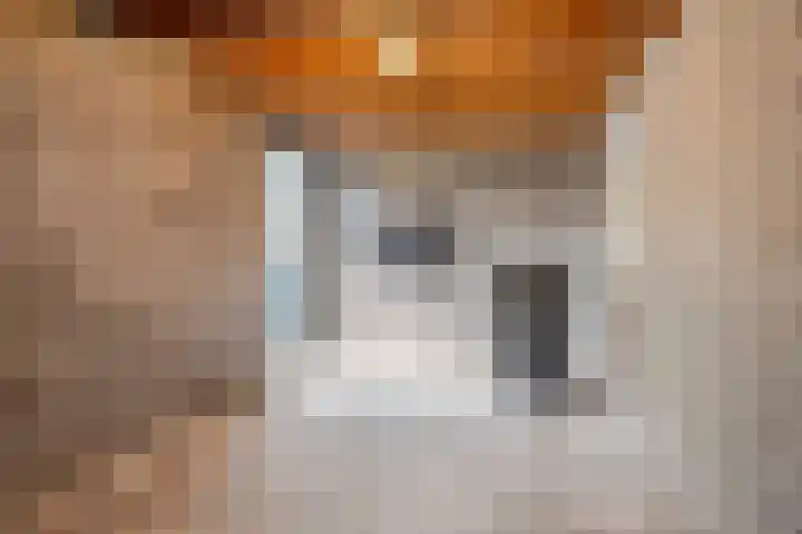 Klaproos 2 Uithoorn thumbnail 33