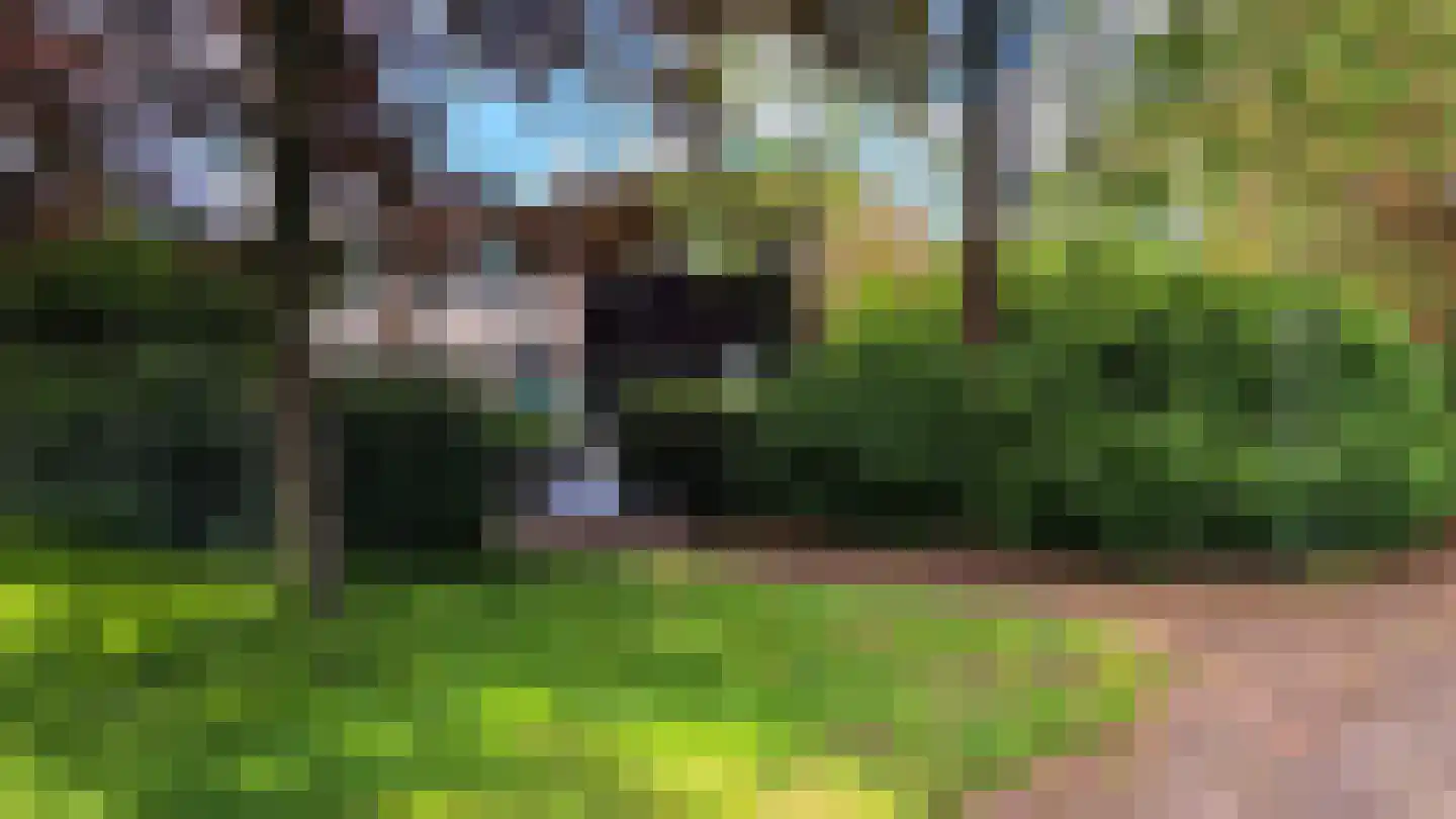 Klaproos 2 Uithoorn thumbnail 33