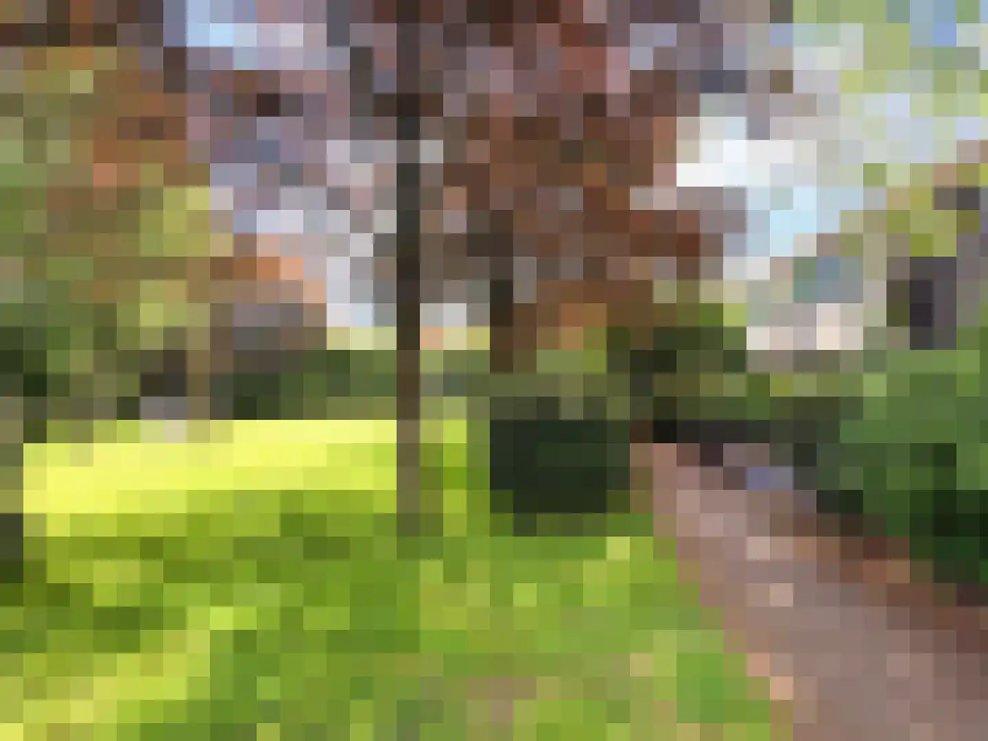 Klaproos 2 Uithoorn thumbnail 34
