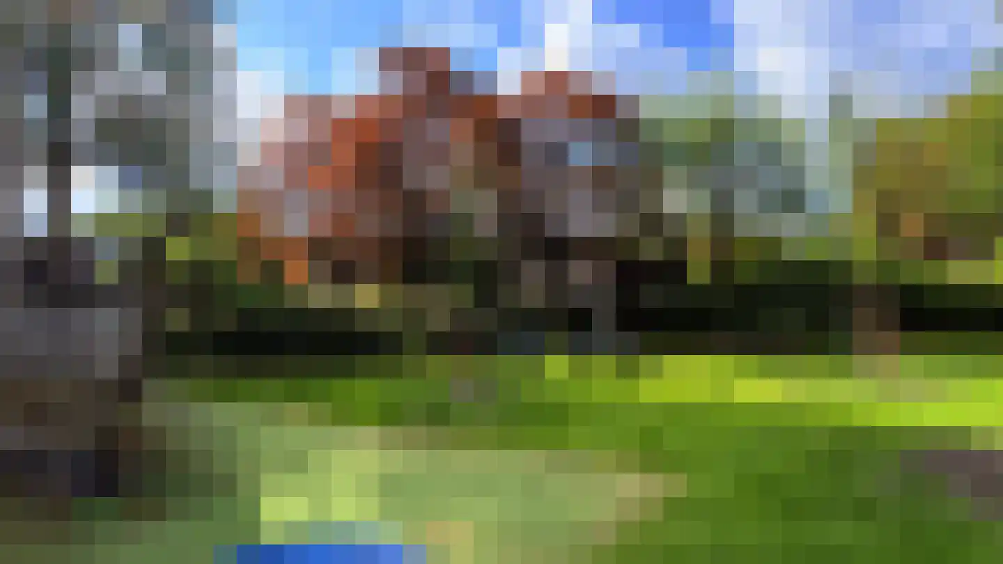 Klaproos 2 Uithoorn thumbnail 35