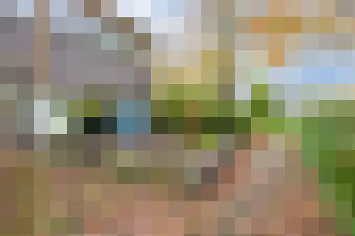 Klaproos 2 Uithoorn thumbnail 36