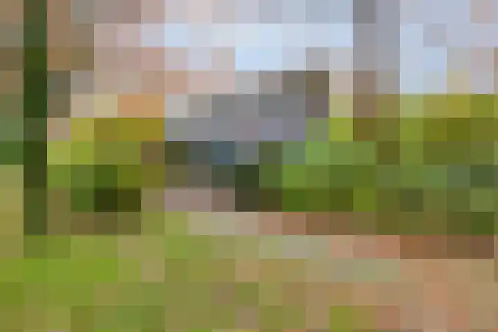 Klaproos 2 Uithoorn thumbnail 37
