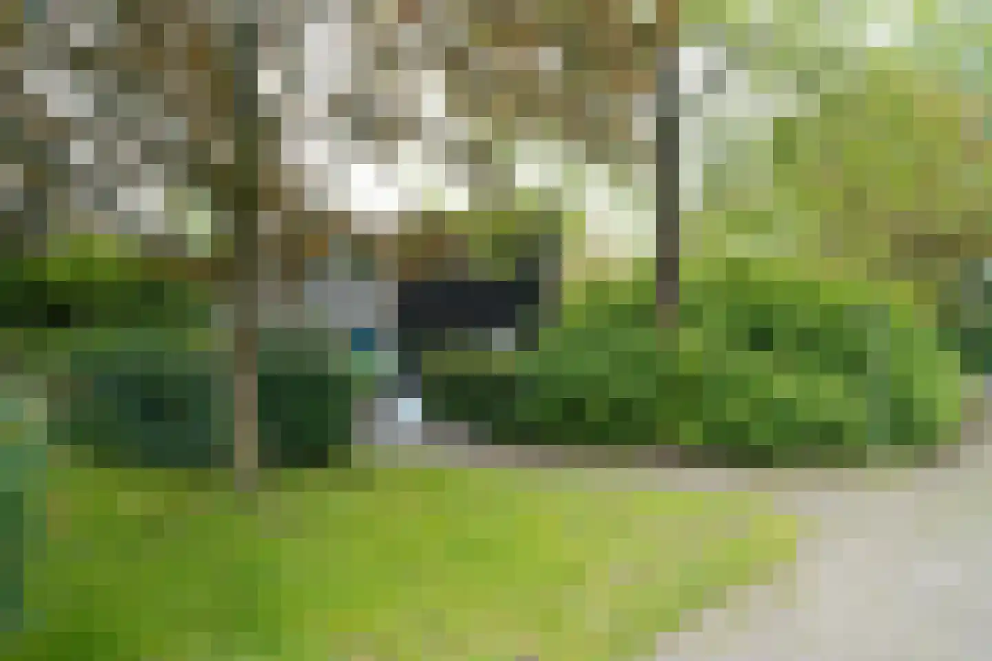 Klaproos 2 Uithoorn thumbnail 4