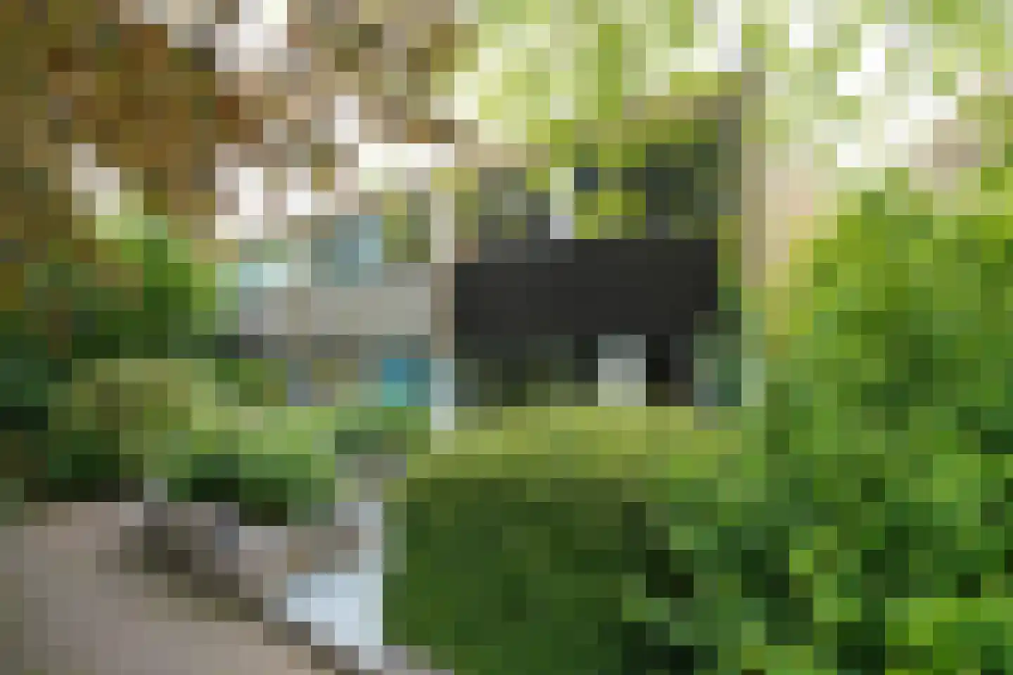 Klaproos 2 Uithoorn thumbnail 5