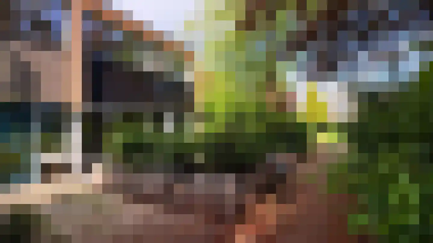 Klaproos 2 Uithoorn thumbnail 6