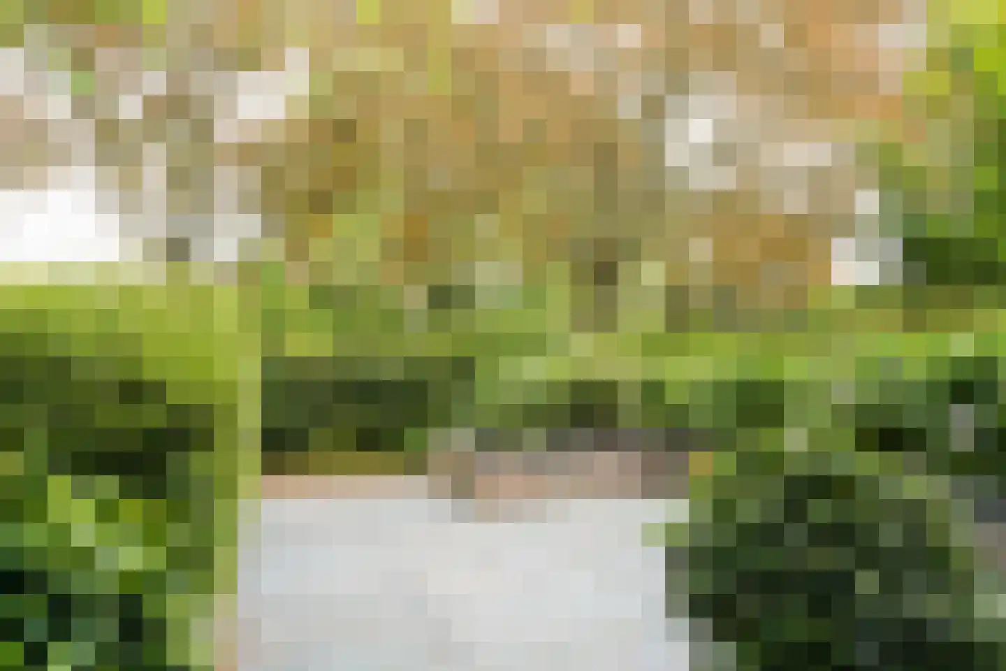 Klaproos 2 Uithoorn thumbnail 7