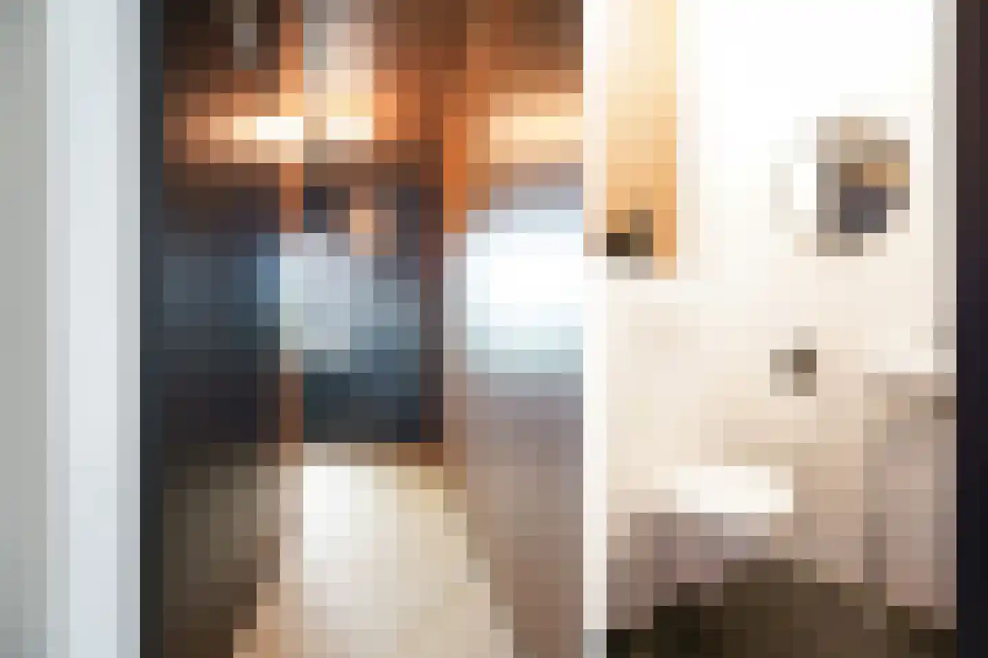 Klaproos 2 Uithoorn thumbnail 9