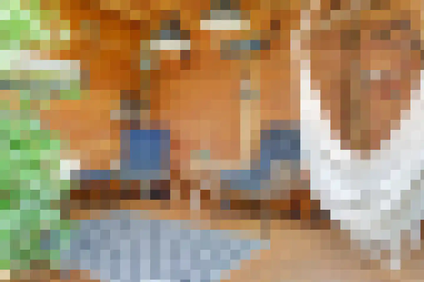 Klaproos 20 Kapelle thumbnail 31