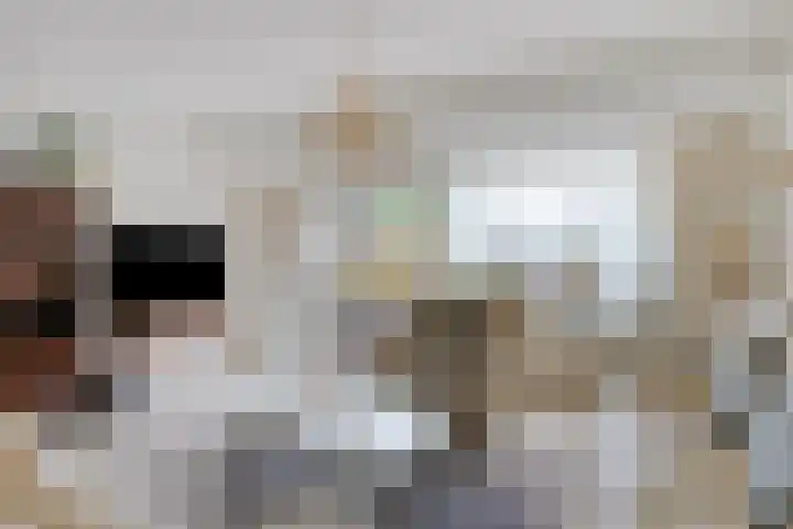 Klaproos 20 Purmerend thumbnail 10
