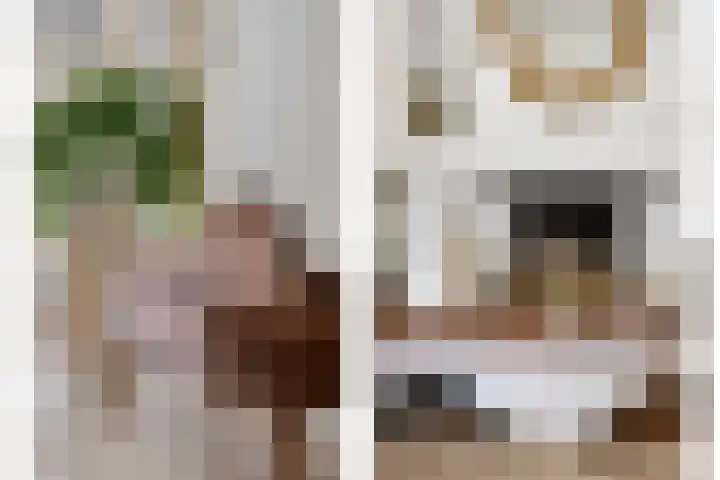Klaproos 20 Purmerend thumbnail 12