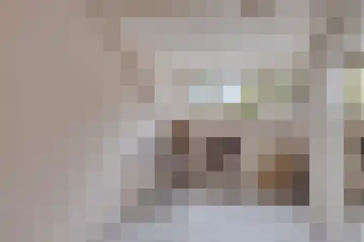Klaproos 20 Purmerend thumbnail 19