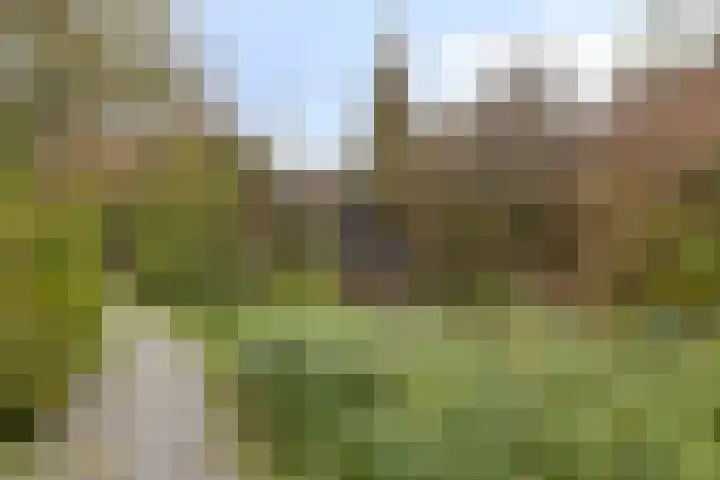 Klaproos 20 Purmerend thumbnail 26