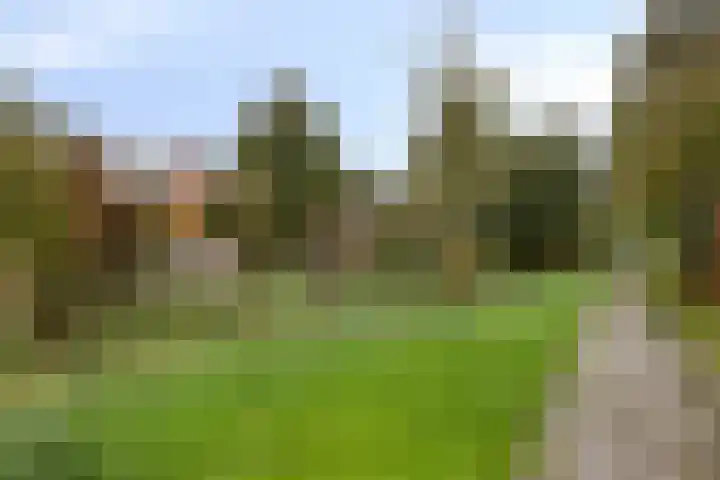 Klaproos 20 Purmerend thumbnail 27