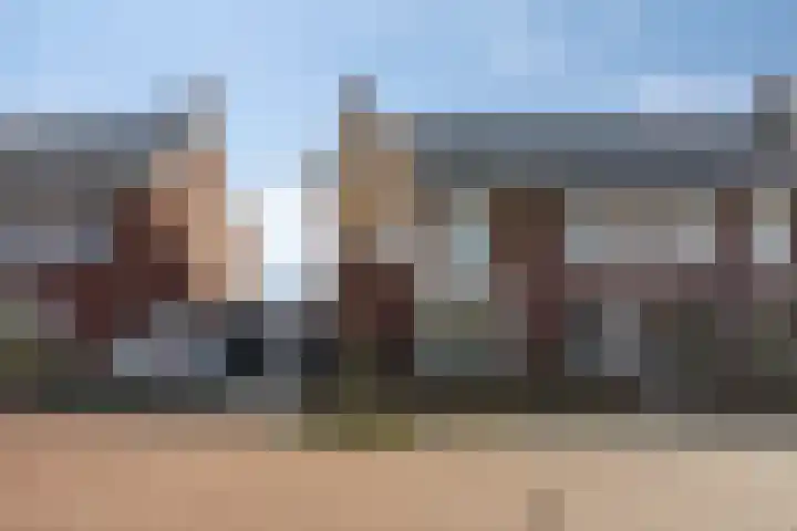 Klaproos 21 Made
