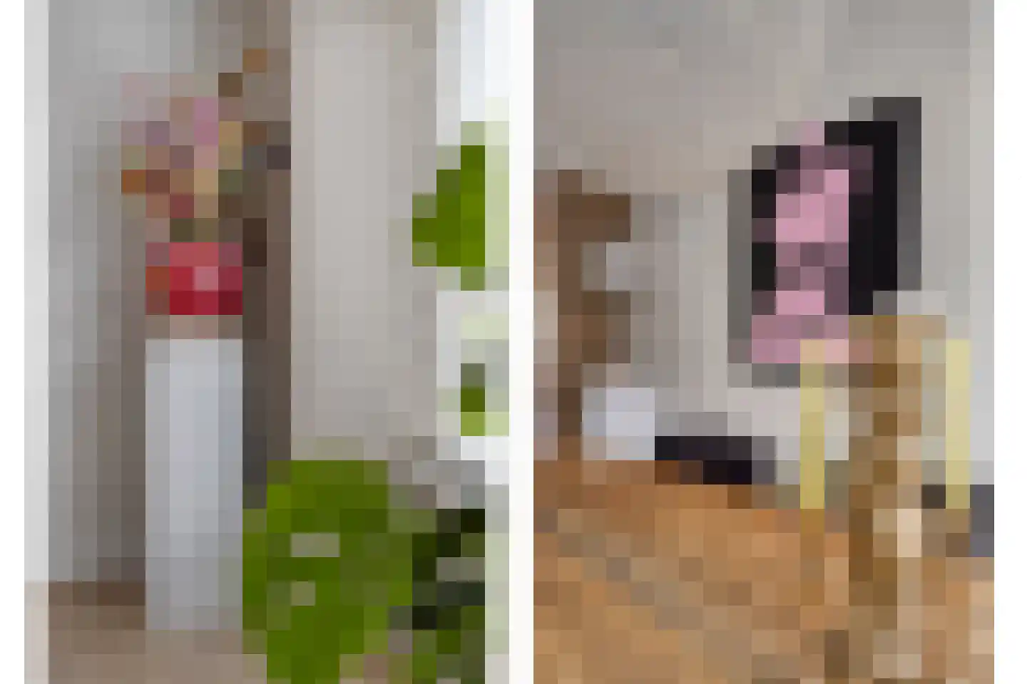 Klaproos 21 Made thumbnail 12