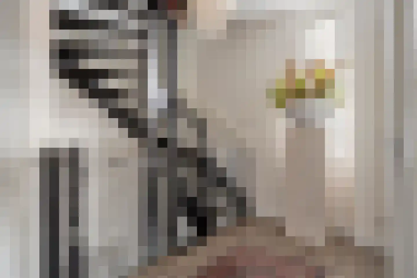 Klaproos 21 Made thumbnail 17