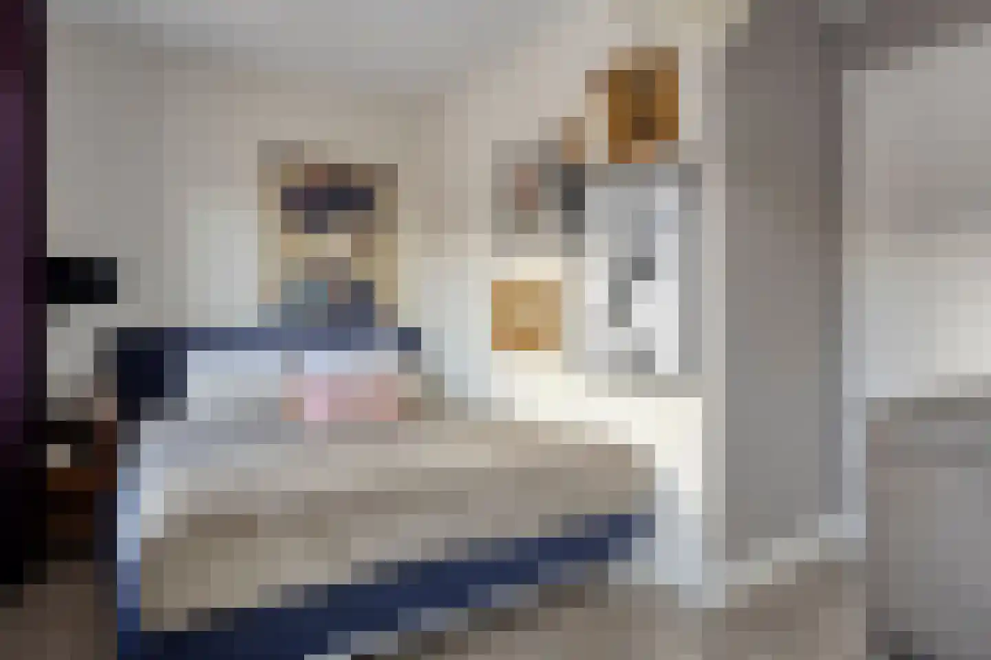 Klaproos 21 Made thumbnail 19