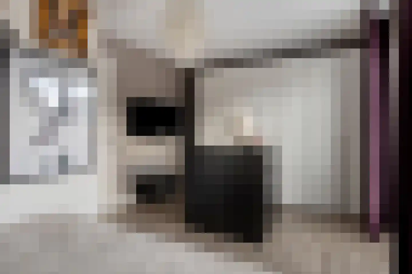 Klaproos 21 Made thumbnail 20