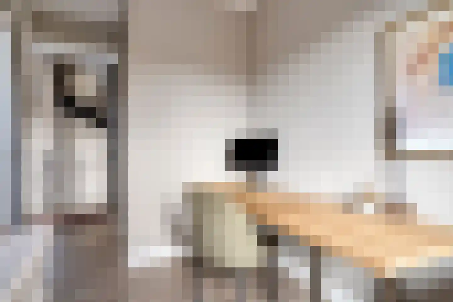 Klaproos 21 Made thumbnail 26