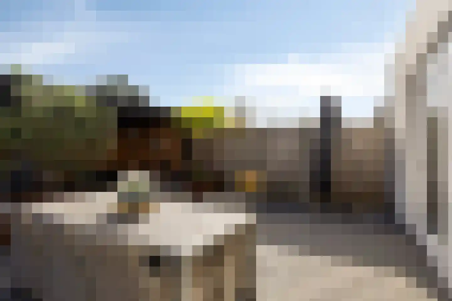 Klaproos 21 Made thumbnail 31